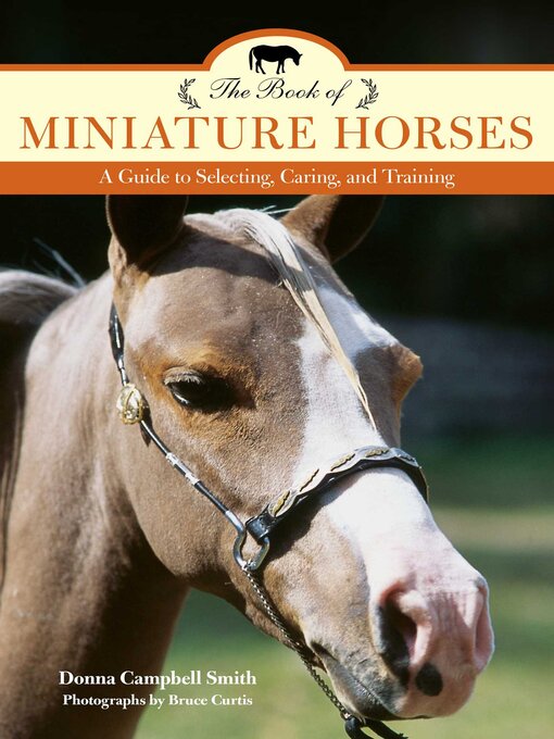 Book of Miniature Horsesの表紙